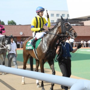 クイーンSのパドックにて☆