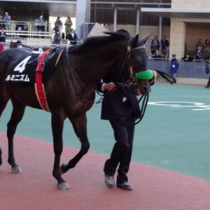 2013/12/8 中京10R こうやまき賞パドック