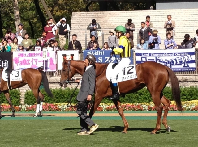 10.27 東京競馬場　2レース　2歳未勝利戦　芝1600m フライングスキップ