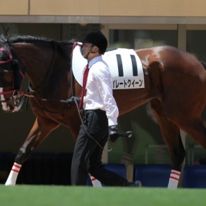 2014年3回京都7日目7R 3歳500万円以下