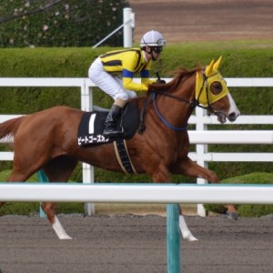 2015年12月12日　姫路特別　返し馬