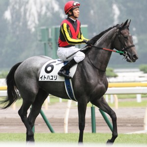 2013/08/11　2歳新馬　本馬場入場