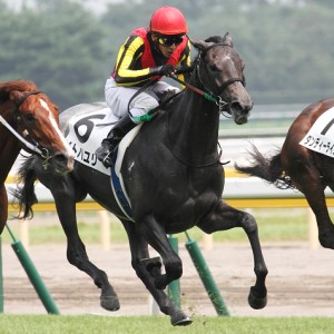 2013/08/11　2歳新馬　レース