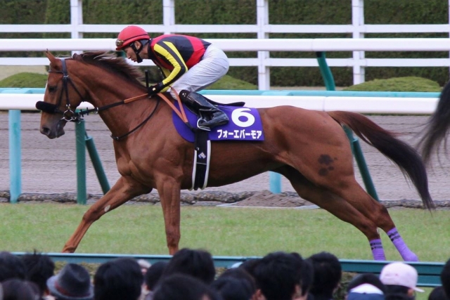 阪神ＪＦ フォーエバーモア