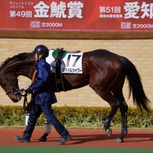 131215中京5Rパドック