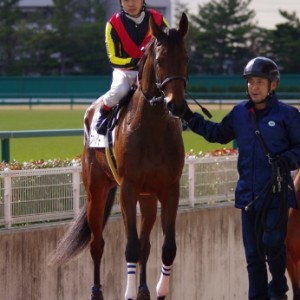 131215中京5R本馬場入場