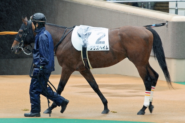 2014年6月7日　未勝利戦 グラズヘイム