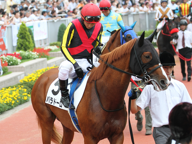 2013/08/11　2歳新馬　パドック パラドーロ