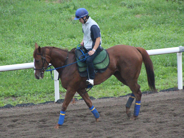 デビュー前/ カクテルハット