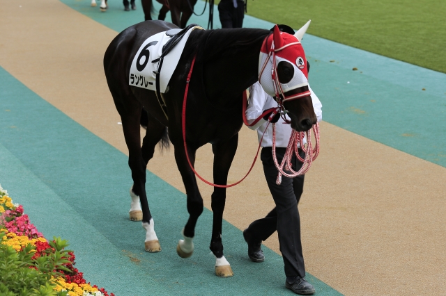 2014.10.26 ラングレー