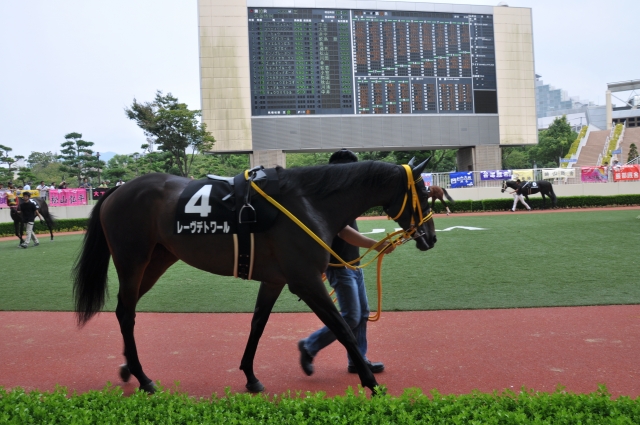 9/5　小倉　玄海特別　芝2000　パドック レーヴデトワール