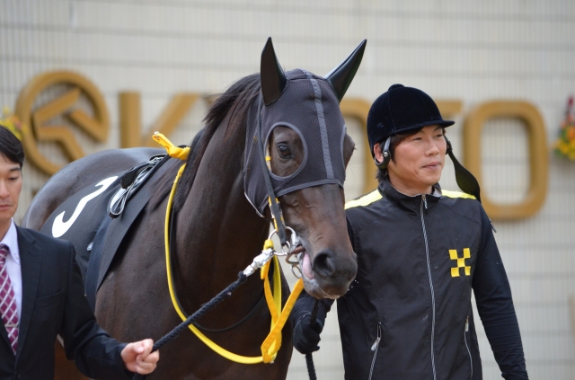 萩ステークス　パドック レーヴデトワール