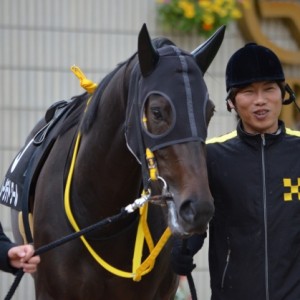 萩ステークス　パドック