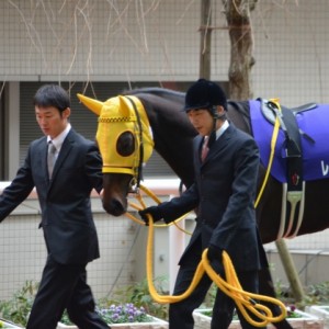 阪神JFパドック