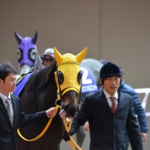 阪神JFパドック