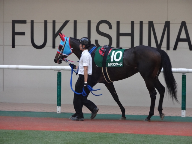ラジオNIKKEI賞パドック ハドソンヤード