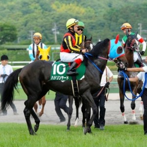 ラジオNIKKEI賞返し馬