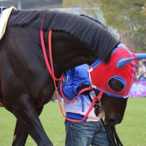 1月6日　4歳以上1000万下　パドック