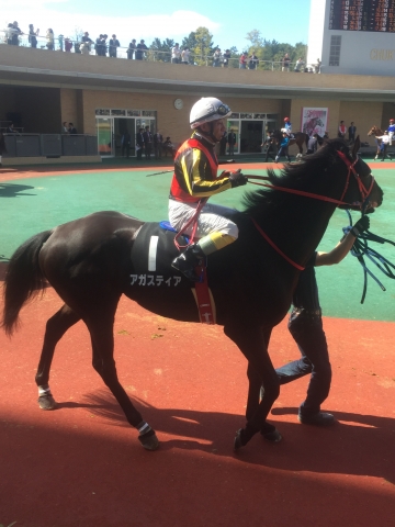 2016/3/19 熊野特別パドック アガスティア