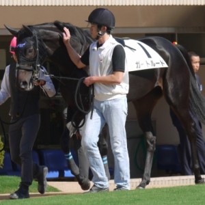 10月13日　京都１Ｒ　２歳未勝利戦