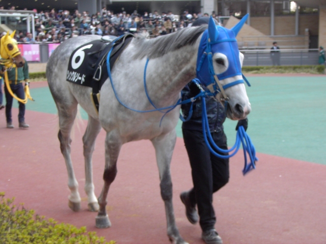 平成2８年3月２７日中京１２R鈴鹿特別１ ツィンクルソード