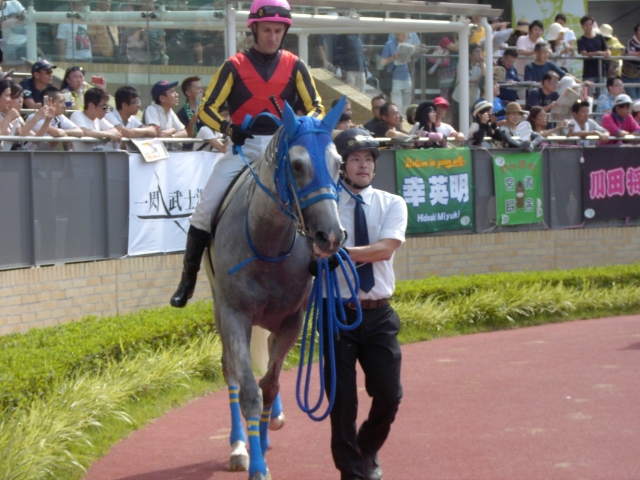 豊明ステークスパドック３ ツィンクルソード