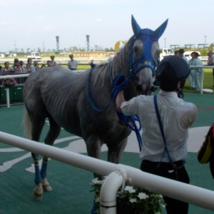 豊明ステークスウイナーズサークル