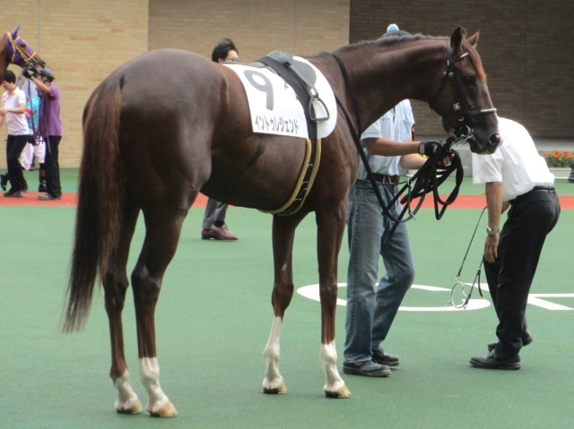 2014.07.13　中京4R　芝2000 イントゥレジェンド