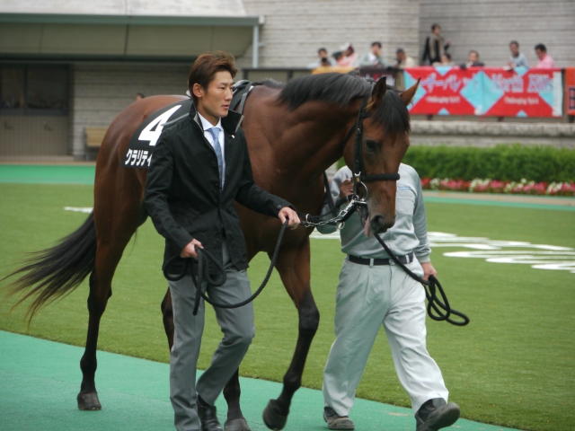 いちょうＳ　パドック② クラリティシチー