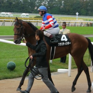 いちょうＳ　馬場入場