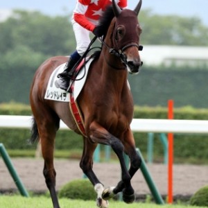 2013.7.13 福島7R 3歳未勝利戦でデビュー