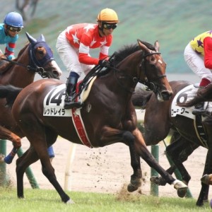 2013.8.12 新潟4R 3歳未勝利