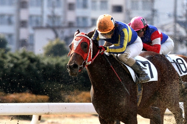 2014.1.17 名古屋6R C2選抜 レッドレイラ