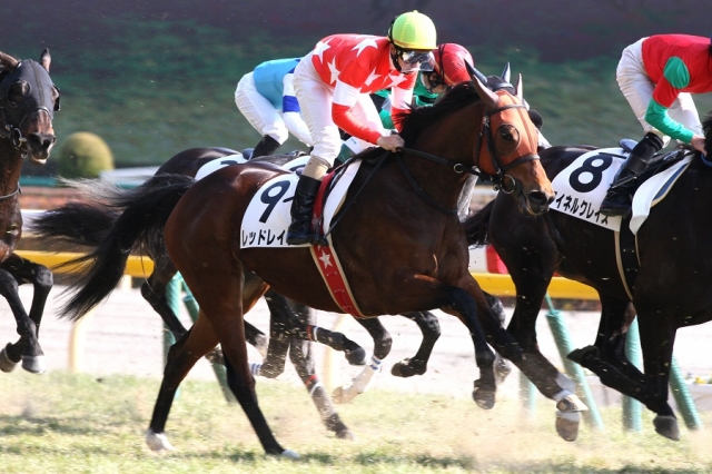 2015.2.15 東京8R レッドレイラ