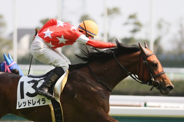 2015.3.22 中京8R  レッドレイラ