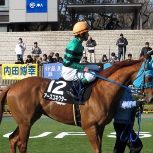 昇竜ステークス　パドック