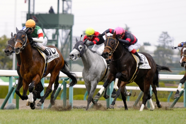 新馬戦２着 シードオブハピネス