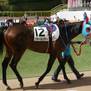 新馬戦　パドック⑤