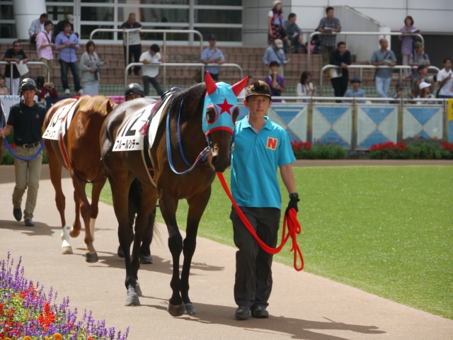 新馬戦　パドック③ フルールシチー