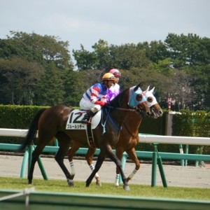 新馬戦　返し馬②