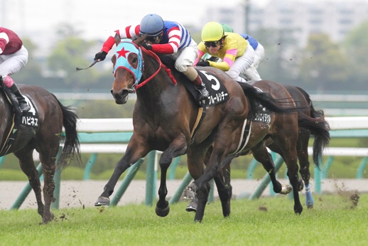 千種川特別（3着） フルールシチー