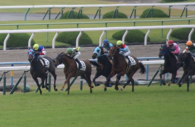 2013/10/27-5 フルールシチー