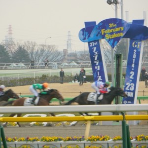 新馬戦　勝利の瞬間！