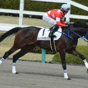 2016年3月13日　4歳上500万下　返し馬
