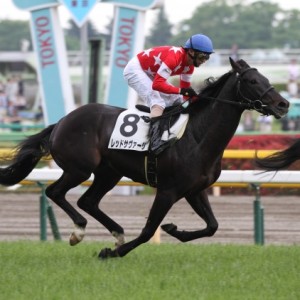 2015/4/25　東京5R・未勝利戦3