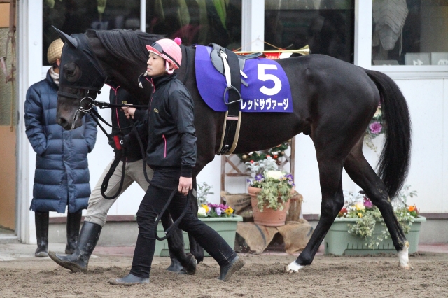 2015/11/23　ダービーグランプリ（1） レッドサヴァージ