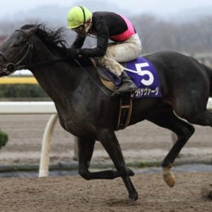 2015/11/23　ダービーグランプリ（4）