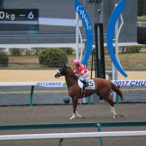 3/26　返し馬にて