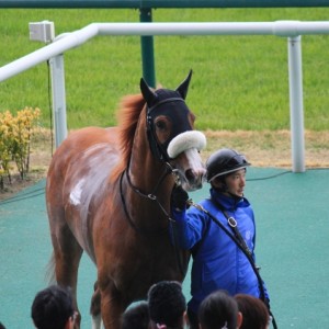 3/26　ウイナーズサークルにて