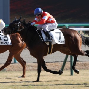 2015/1/11 未勝利戦・レース